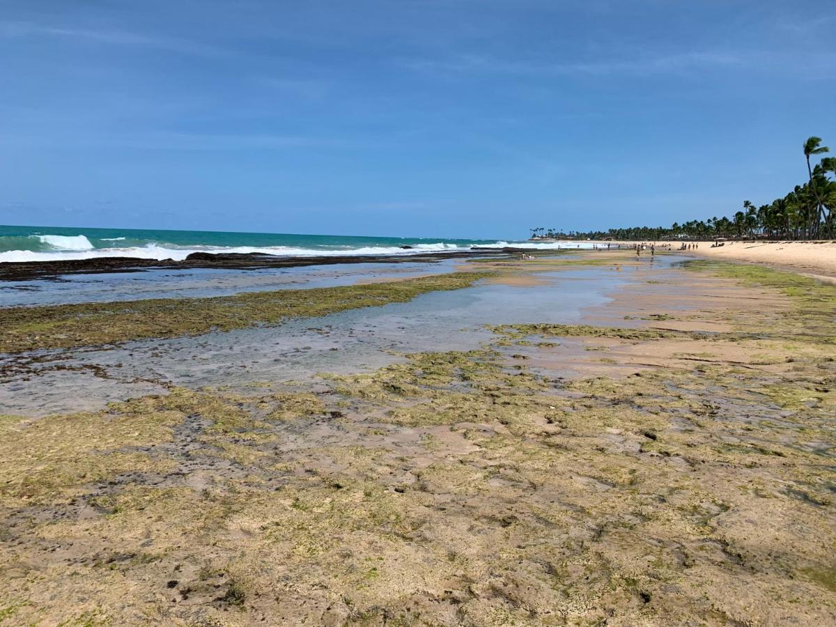 Flat Beach Class Muro Alto Pôrto das Galinhas エクステリア 写真